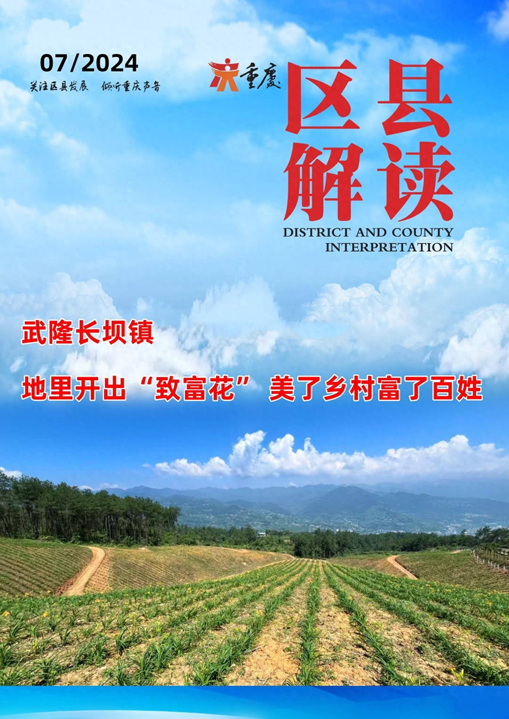 忘忧草未满18岁忘忧草秋，未满十八的青春之眼-第1张图片