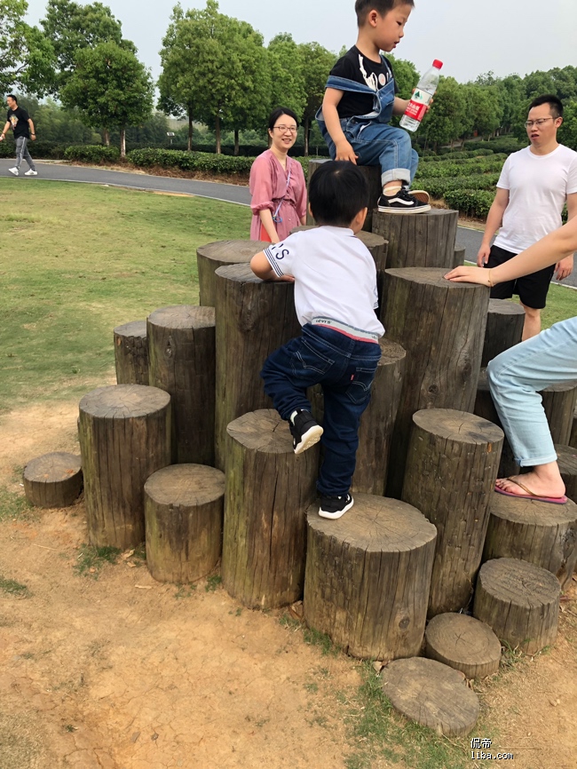 芳草地社区在线视频，构建新型社区互动平台-第2张图片