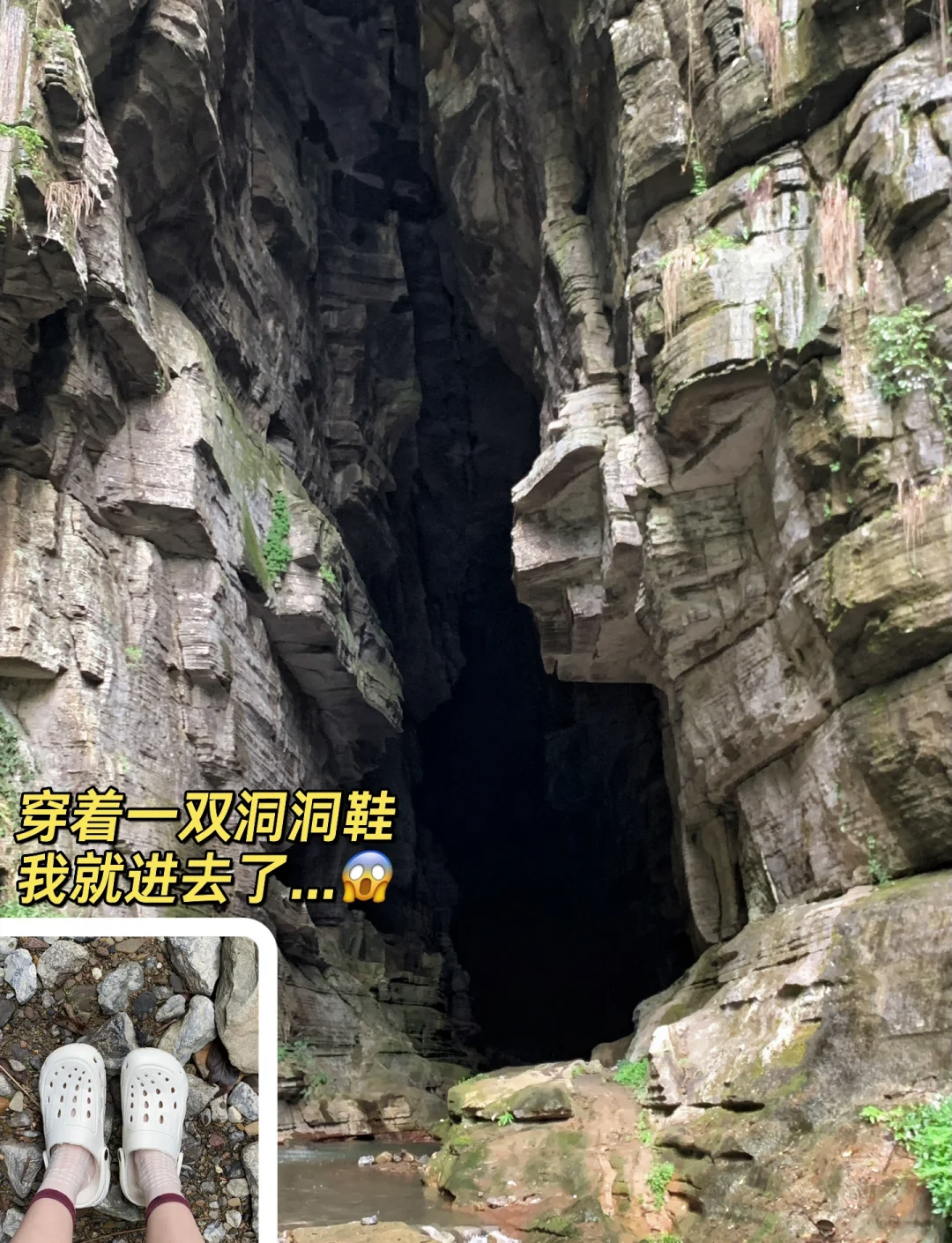 鸣神大社下方洞窟探秘鸣神大社下方的神秘洞窟-第1张图片