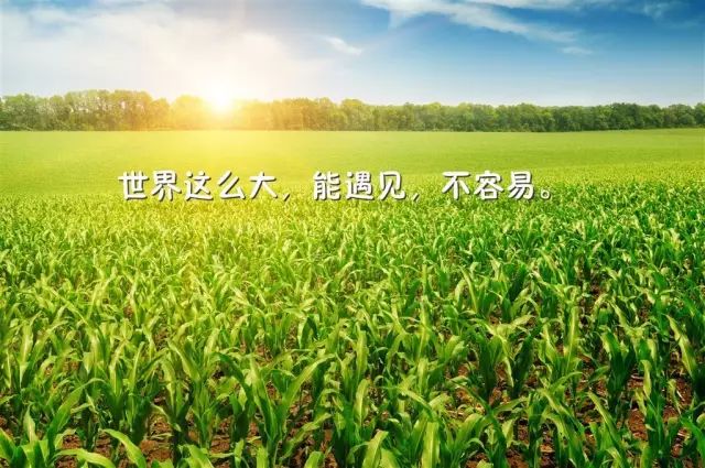 正能量网站免费进入无需下载软件正能量网站，免费进入，无需下载，让生活充满阳光-第1张图片