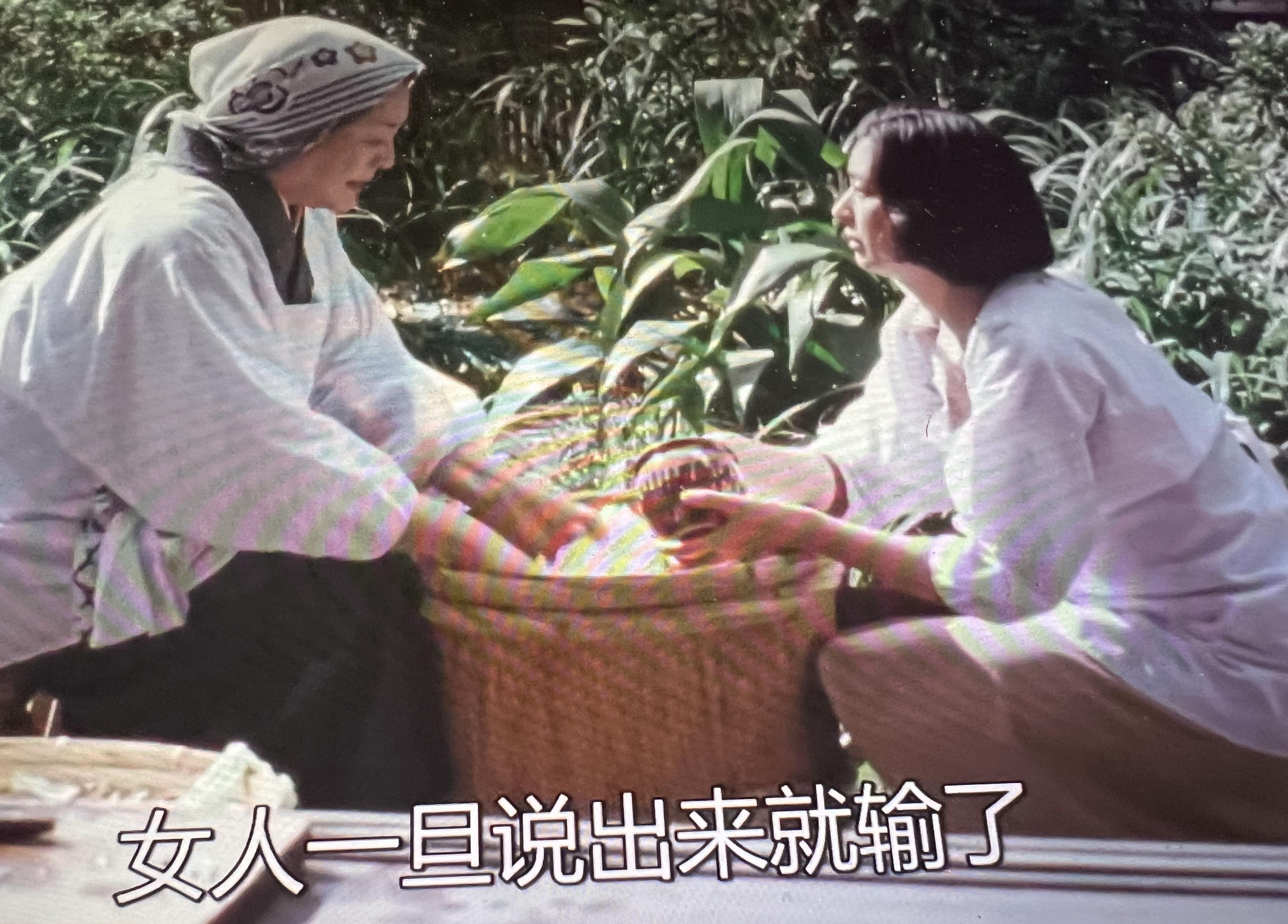 qvod电视剧Qvod电视剧，探索网络影视的新时代-第2张图片