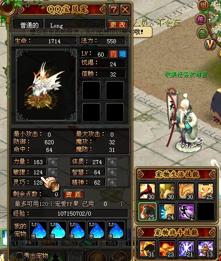 qq自由幻想药师攻略大全QQ自由幻想药师攻略，全面解析药师职业的成长与战斗策略-第1张图片
