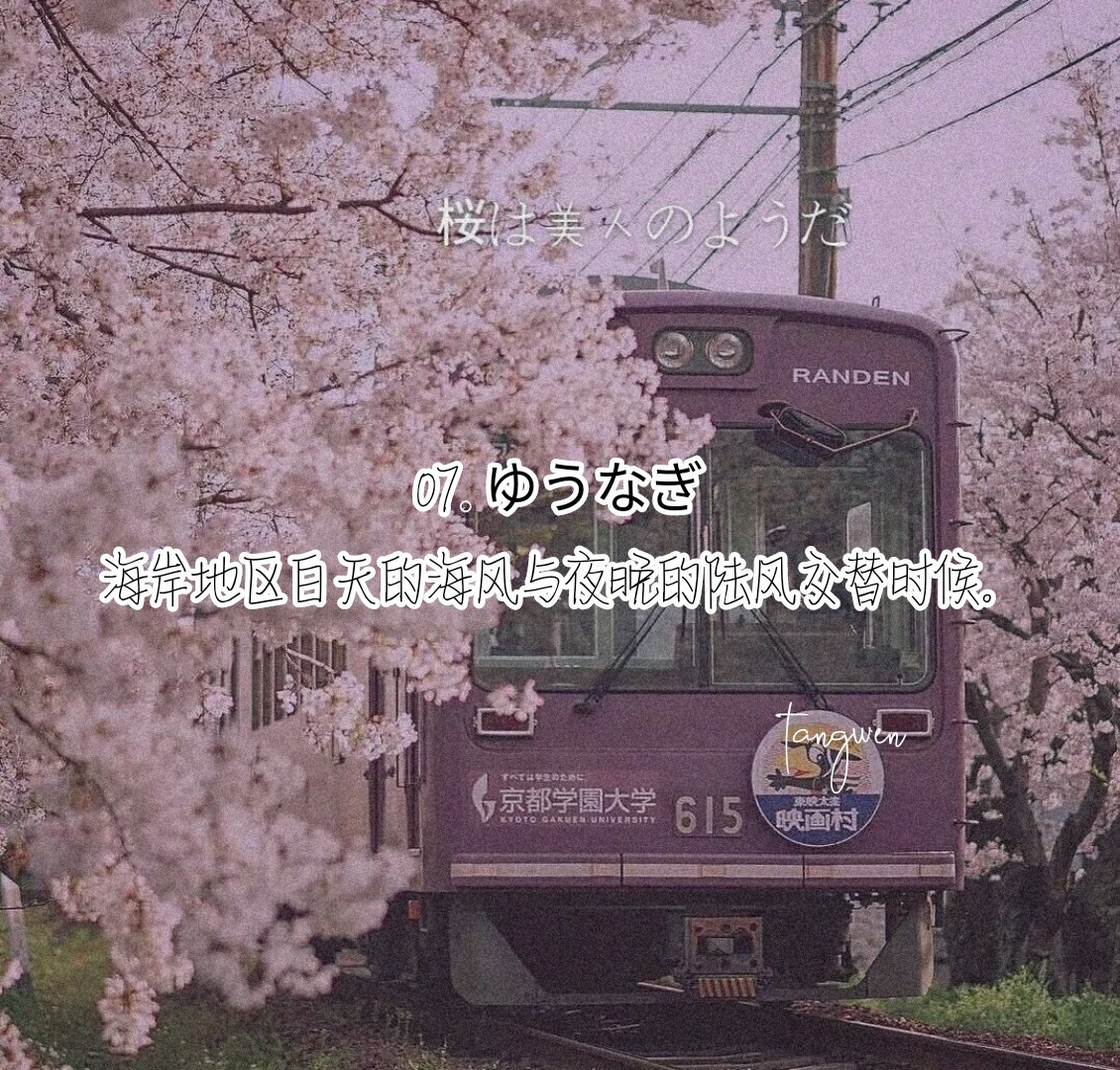 Tom汤姆叔叔的最新地域网名之旅-第1张图片