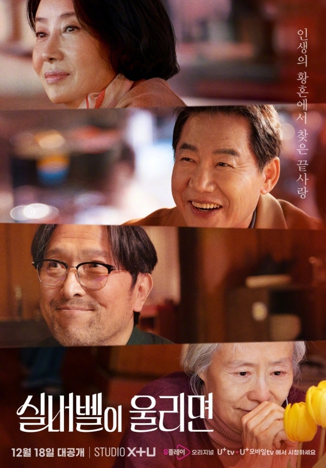 近期韩国影视作品更新中文字幕的全新体验——2019年回顾-第1张图片