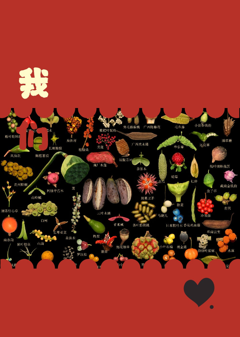 成人世界中的多彩果实之旅——丝瓜、草莓、榴莲、向日葵、秋葵的探索-第3张图片