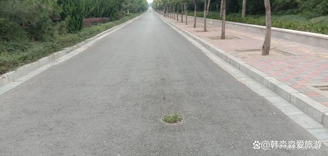 小草回家永不迷路2024ty66小草回家的路标——永不迷路的2024之旅-第2张图片