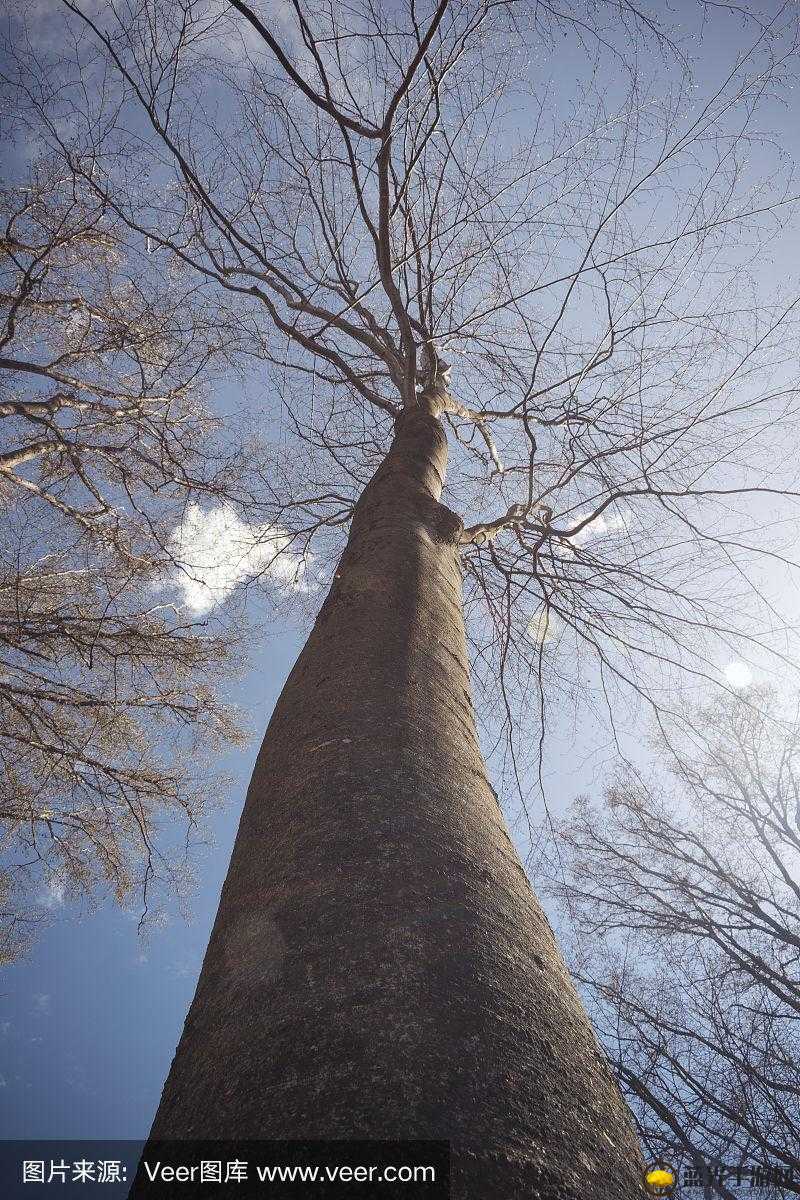 硬又黑硬又黑的魅力与探索-第3张图片