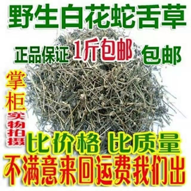 草草影视新发地布地2021草草最新发布，揭秘wy37地扯的魅力与价值-第1张图片