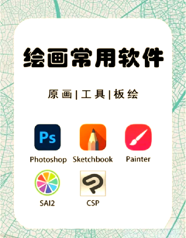 肌肌桶肌肌免费软件，了解与使用指南-第1张图片