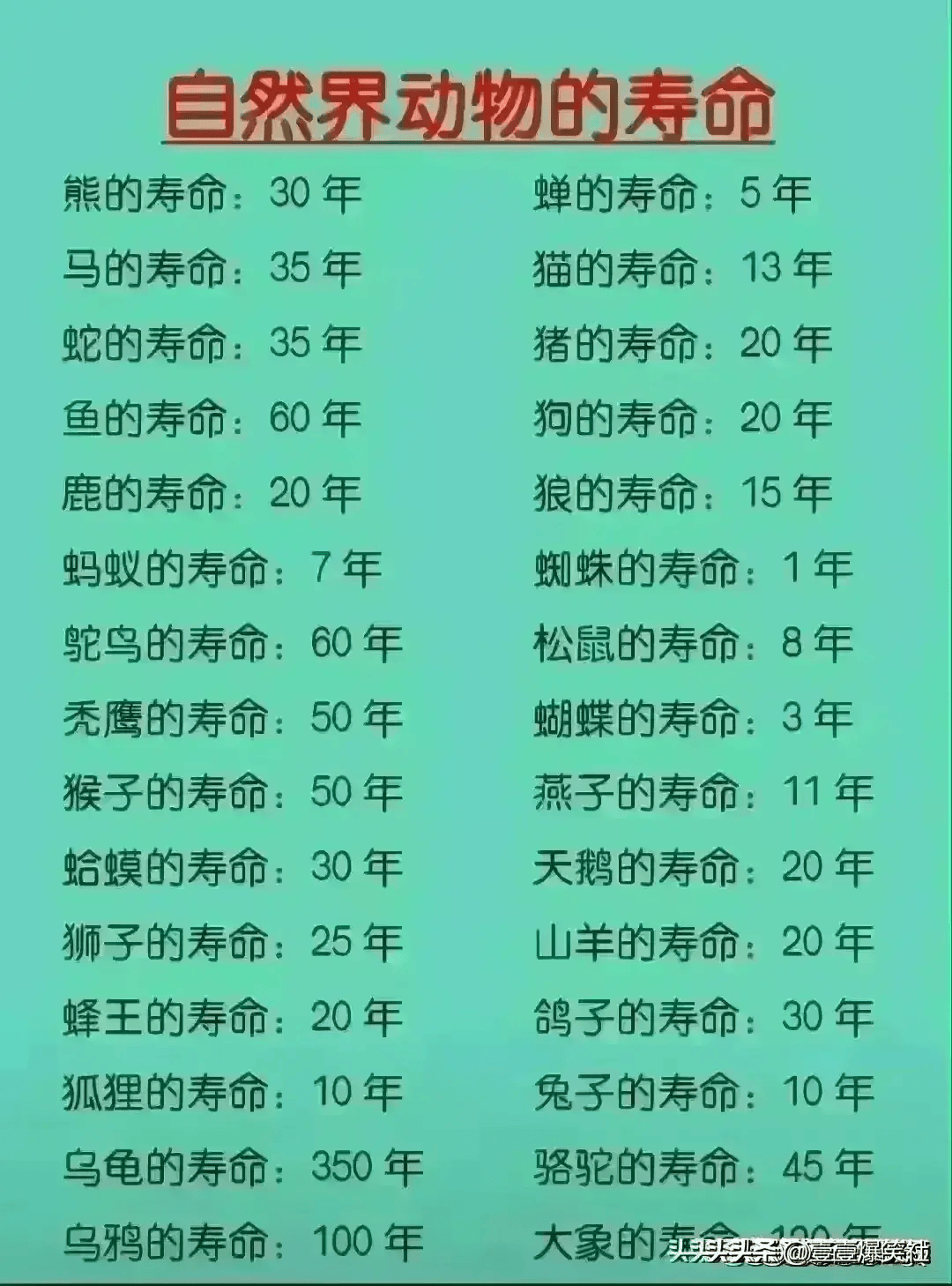 解析国内精品一线、二线、三线的区别-第2张图片