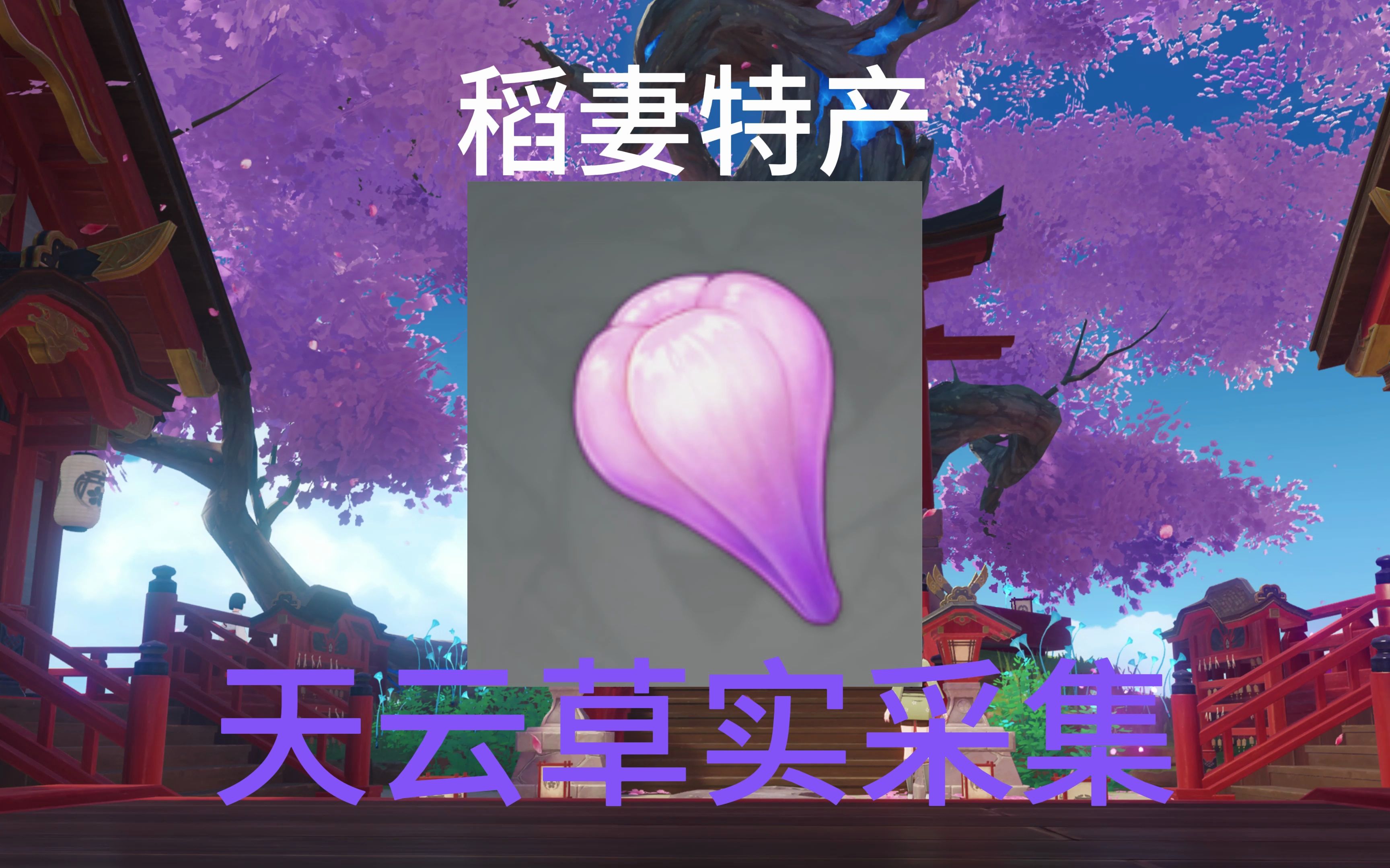 雷电将军突破材料详解-第2张图片