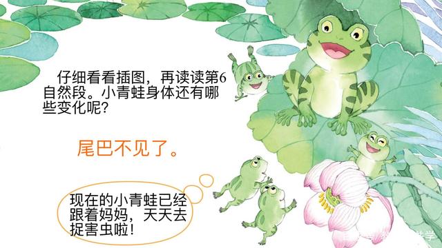 小蝌蚪app无限观看污免费小蝌蚪app，探索与警示-第3张图片