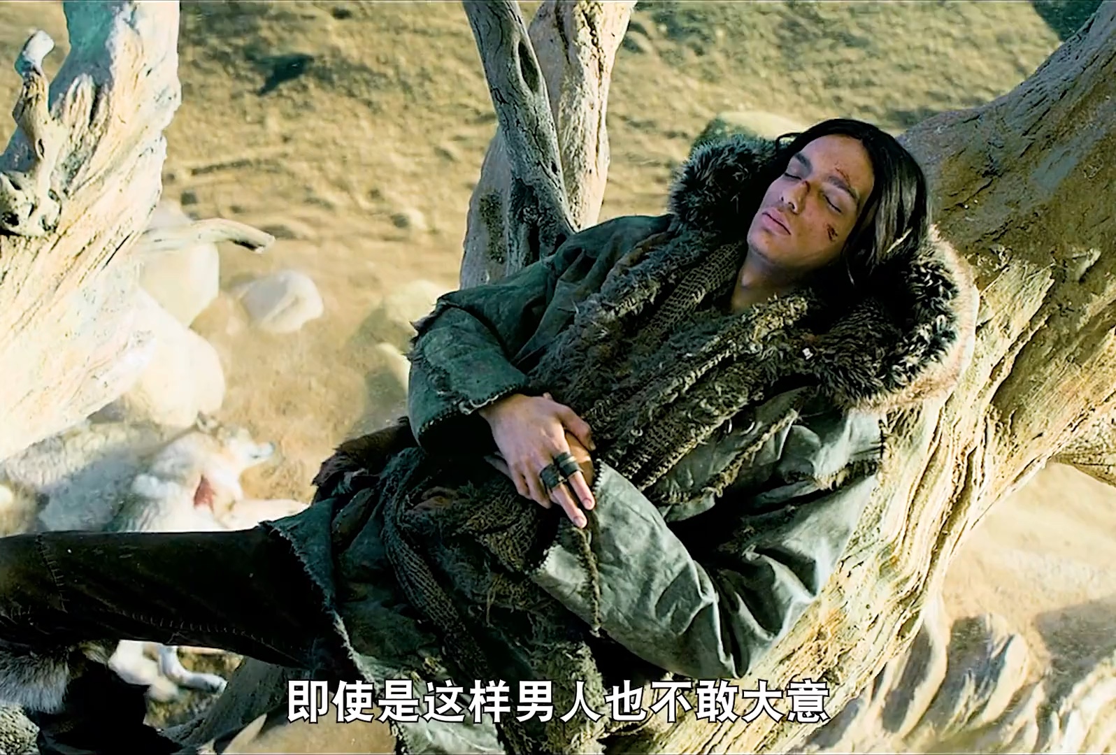 狼群视频在线高清免费观看最新版狼群视频在线高清免费观看——探索自然界的神秘世界-第1张图片