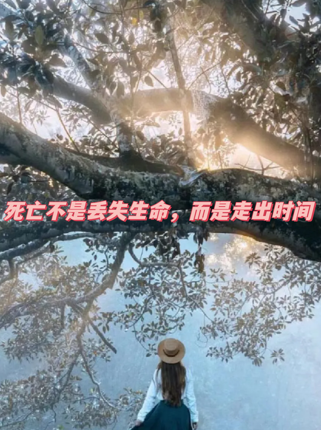 在车里被撞了八次高ao的小说车窗外的惊魂八次，高AO下的意外经历-第3张图片