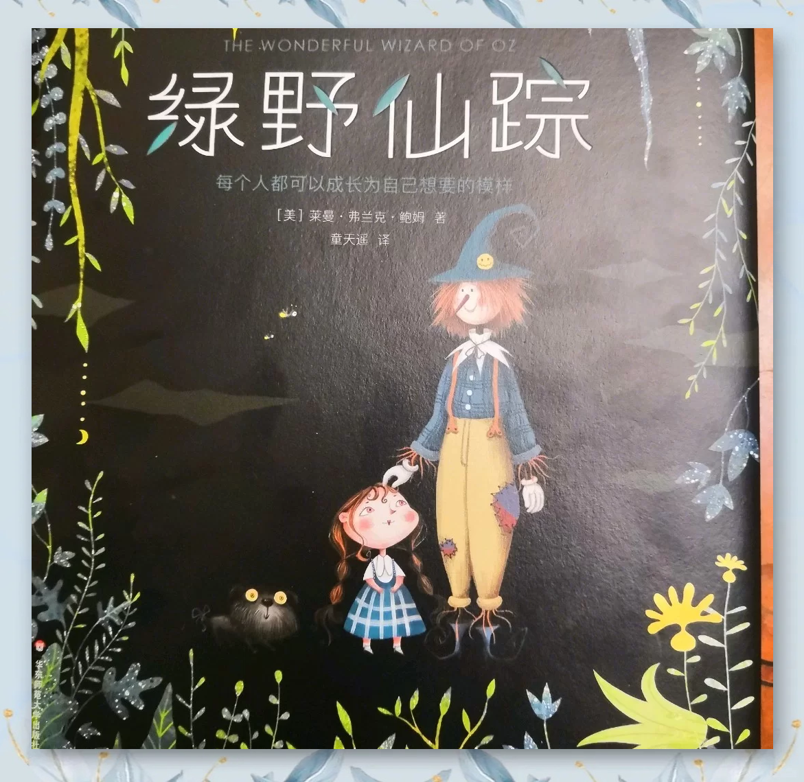 仙踪林免费视频入口策驰云仙踪林免费视频入口探索与体验-第2张图片
