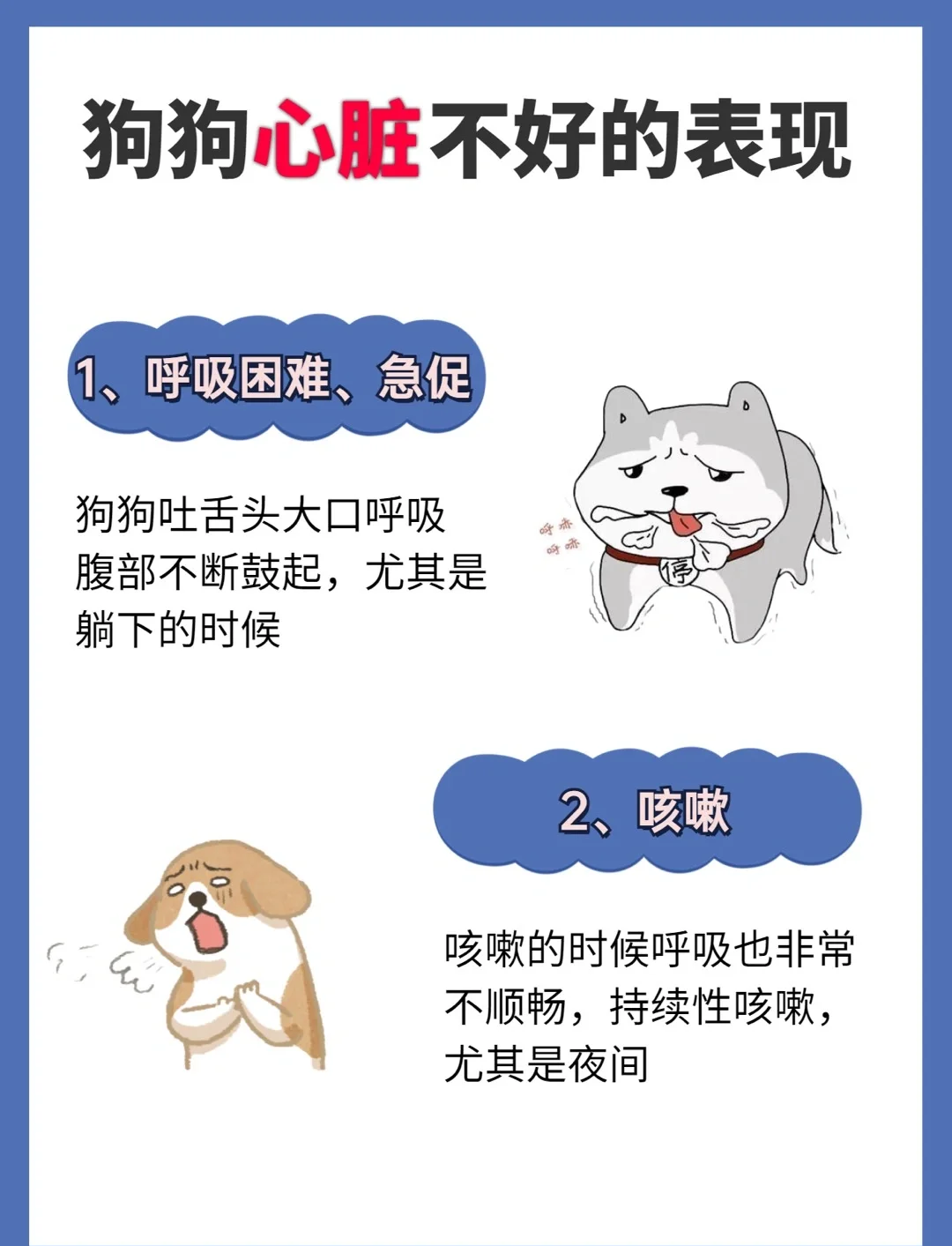 狗狗东西在里面突然变大了怎么回事狗狗突然间的东西变大记-第2张图片