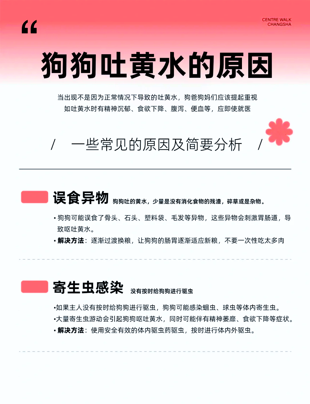 狗狗东西在里面突然变大了怎么回事狗狗突然间的东西变大记-第1张图片