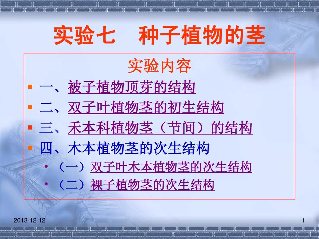 探索双茎同时刺激的独特体验-第1张图片
