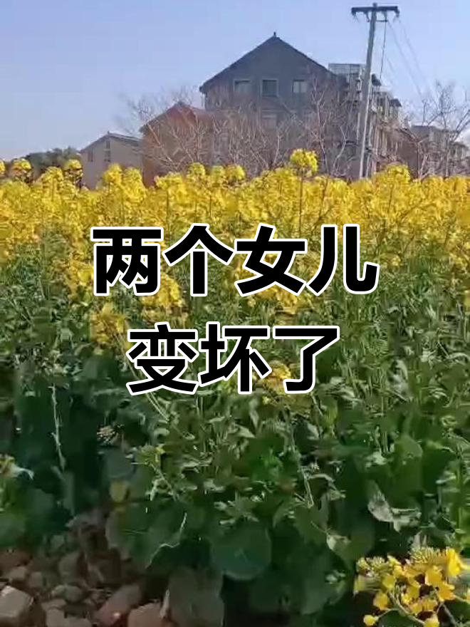 李老汉 瓜地 小雪 小丹李老汉的瓜地与小雪、小丹的友情岁月-第3张图片