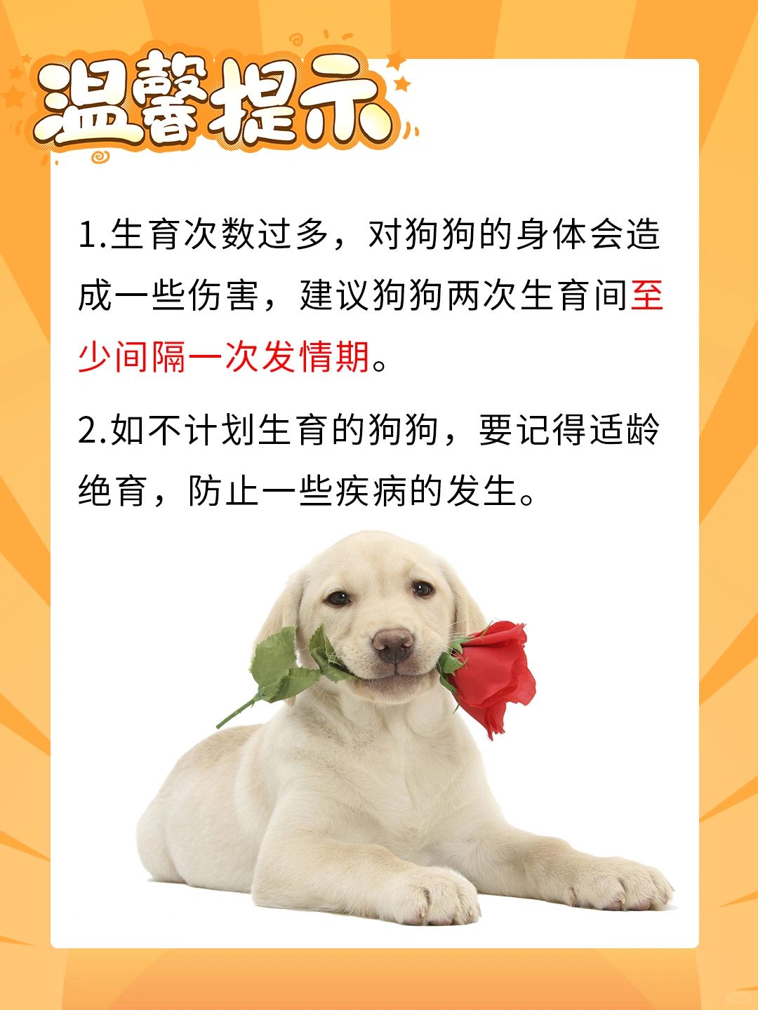 人狗交配关于人狗交配的误解与真相-第1张图片