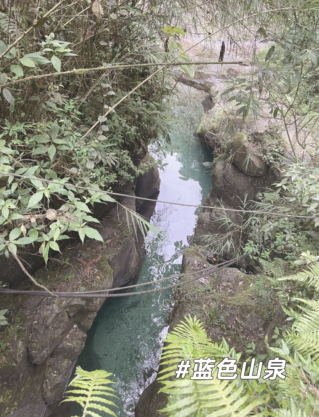 舌尖的奇妙之旅，一路向下探索的花朵之谜-第2张图片