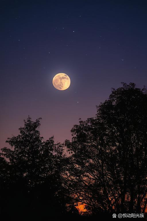 夜月直播，免费下载，畅享夜间月色-第3张图片