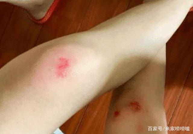 闺蜜撕开的奶罩猛吸我的奶gl闺蜜的意外之举——一场关于亲密与情感的意外体验-第1张图片