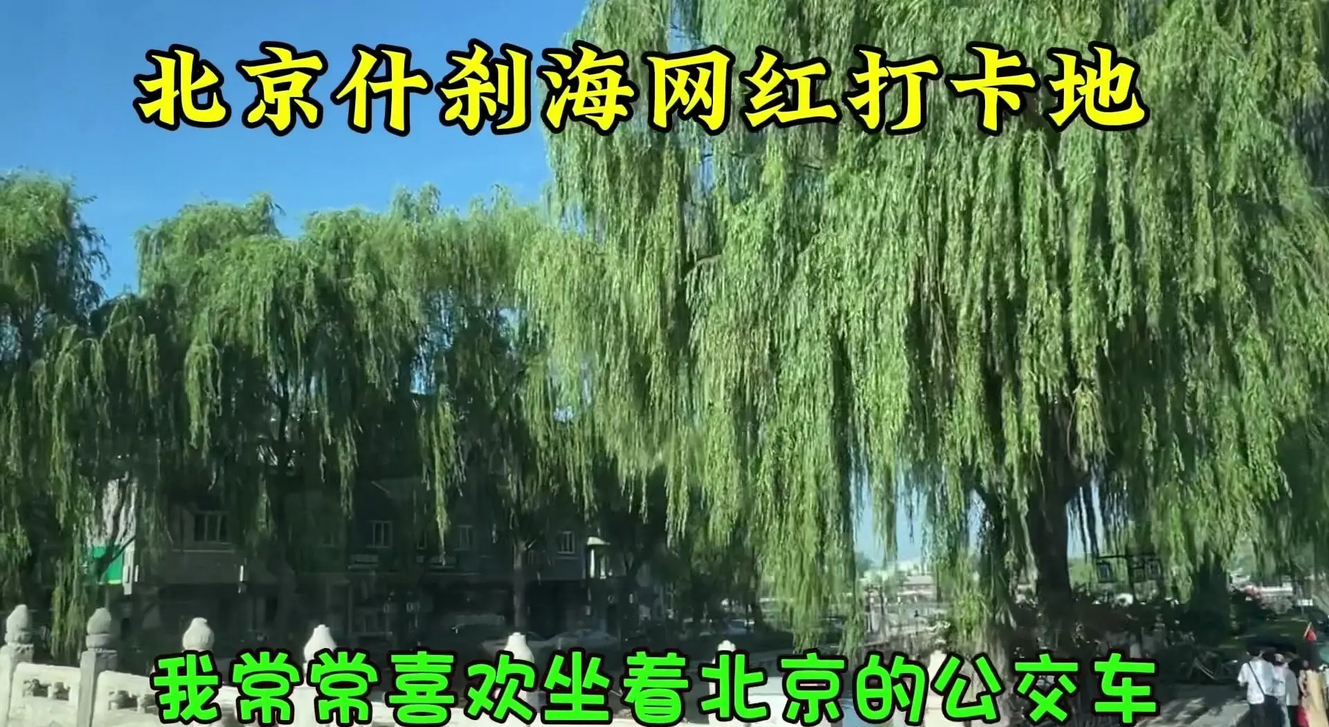 公交车上的释放之旅-第3张图片
