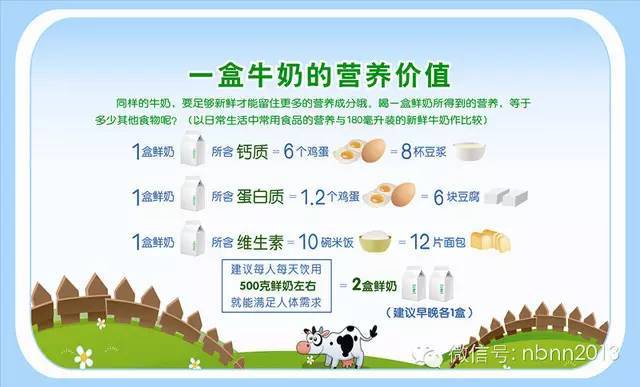 牛奶榨汁机PO，现代生活的健康之选-第1张图片
