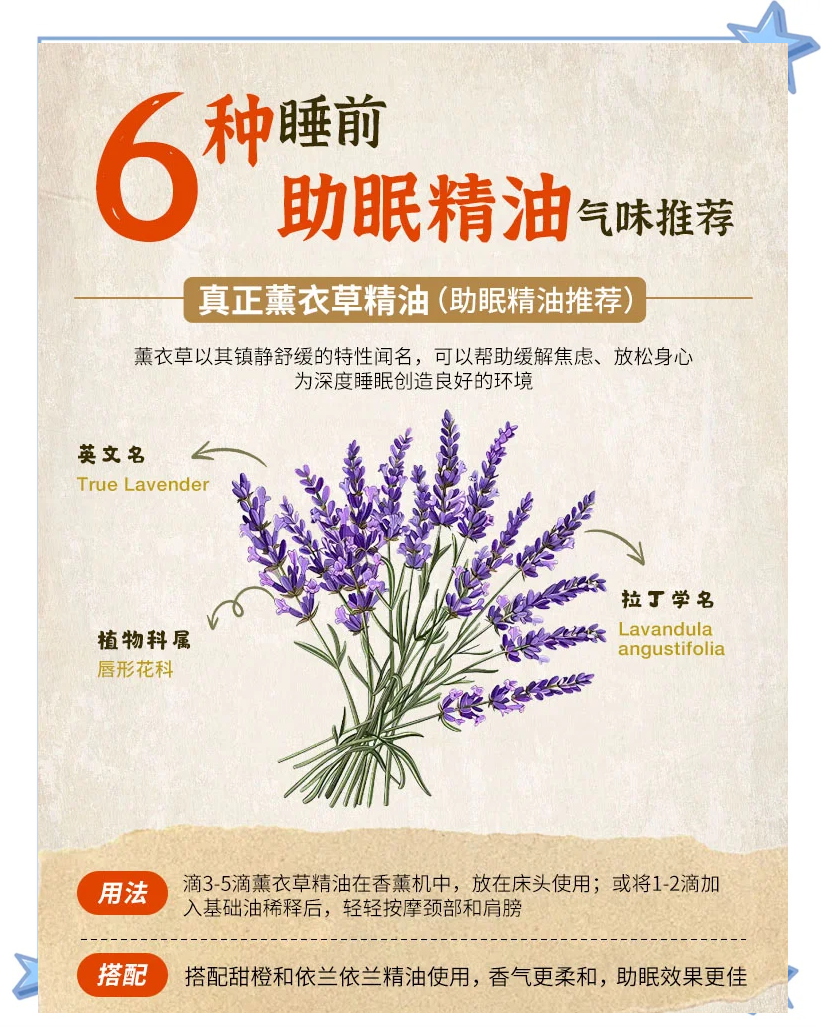 探索薰衣草的奥秘，免费进入的在线薰衣草研究所-第3张图片