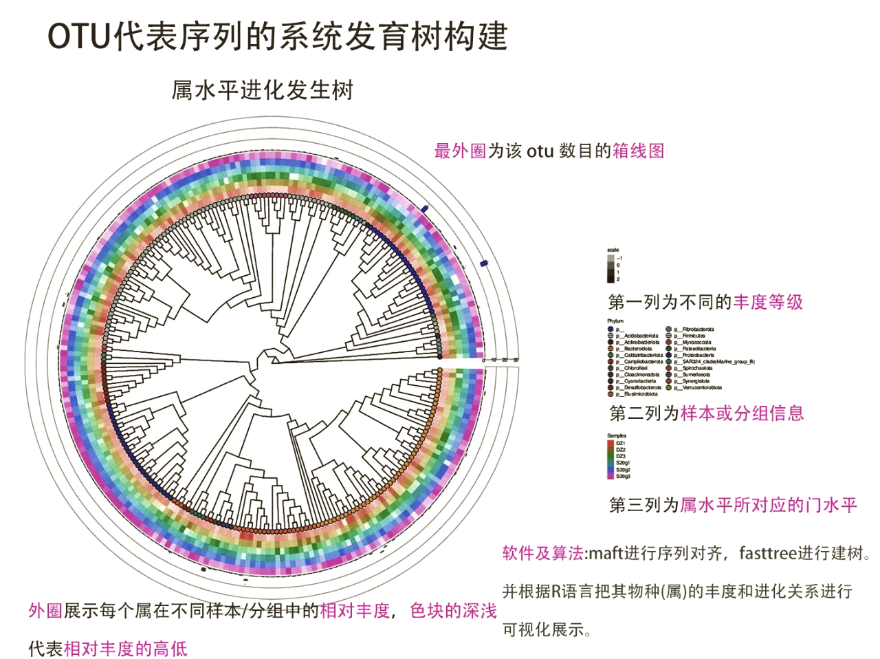 探索97玖玖的奥秘与价值-第1张图片