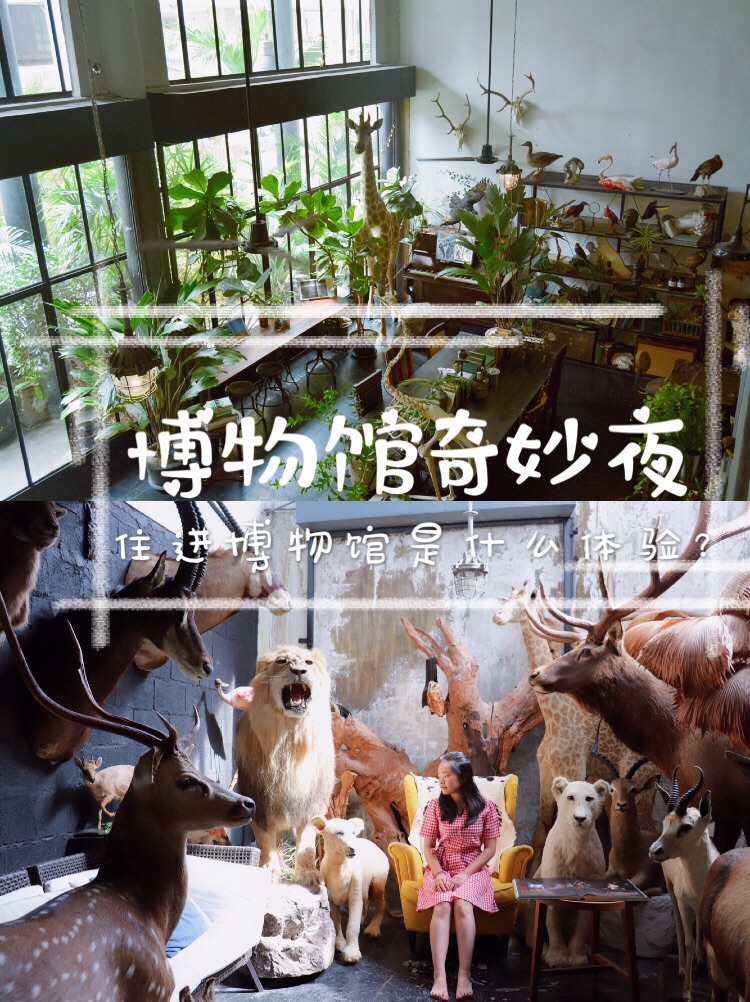 放里面一晚上的奇妙体验-第3张图片