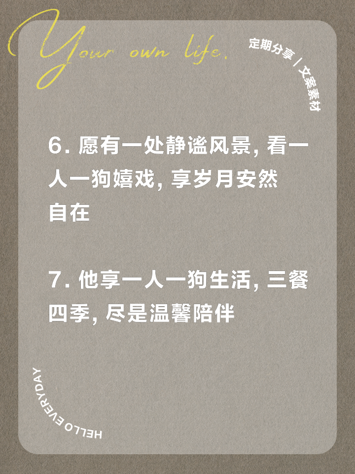 一人一狗卡了六个小时视频六小时的陪伴，一人一狗的卡点时光-第1张图片