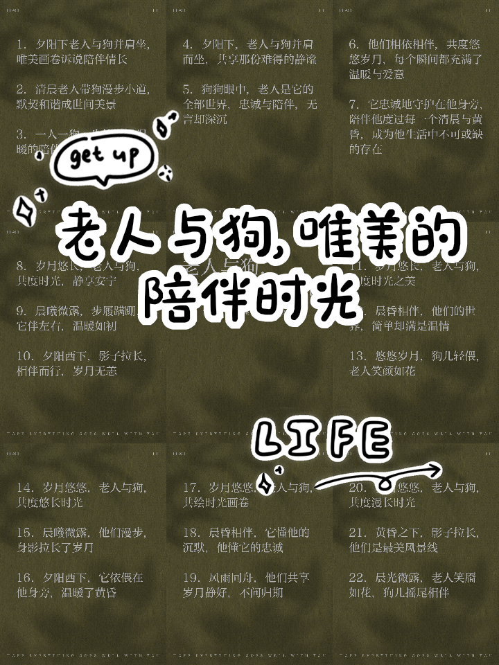 一人一狗卡了六个小时视频六小时的陪伴，一人一狗的卡点时光-第2张图片