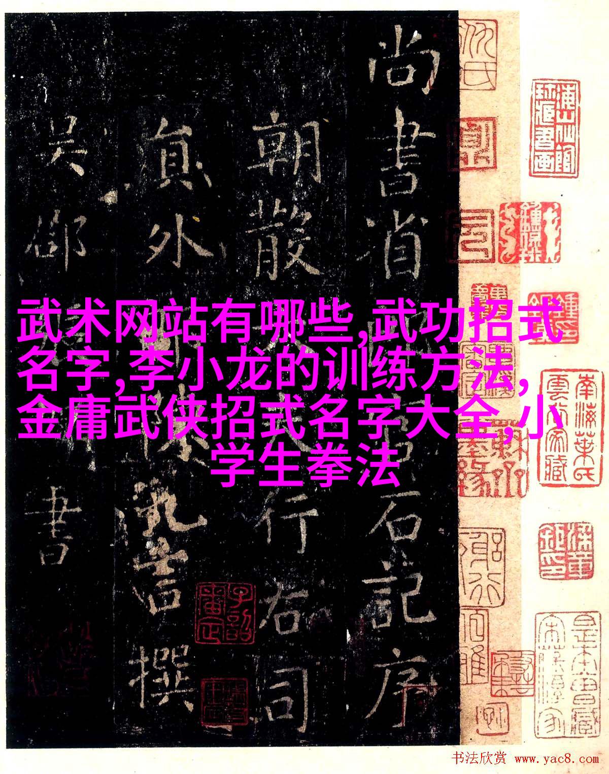 武林秘籍武林秘籍，探寻武学之秘-第1张图片