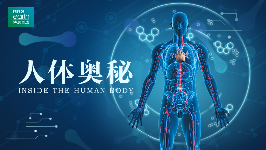 探索神秘数字169xxoo的奥秘-第1张图片