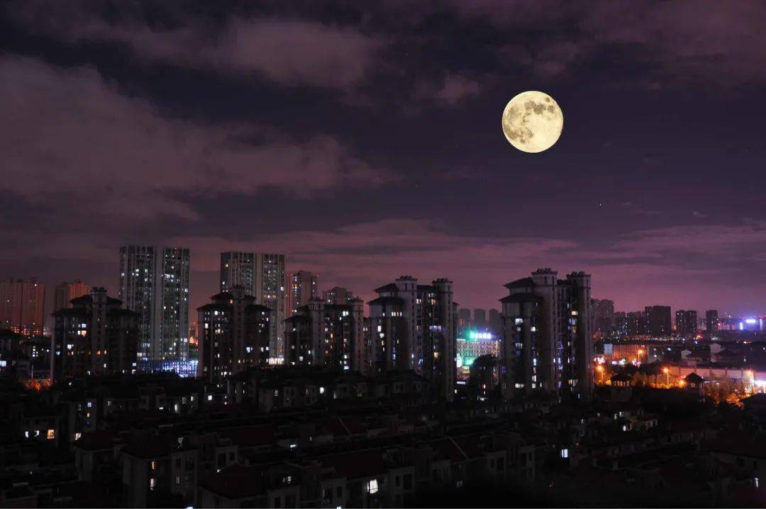29天半的奇迹，下载之旅的深度解析-第3张图片
