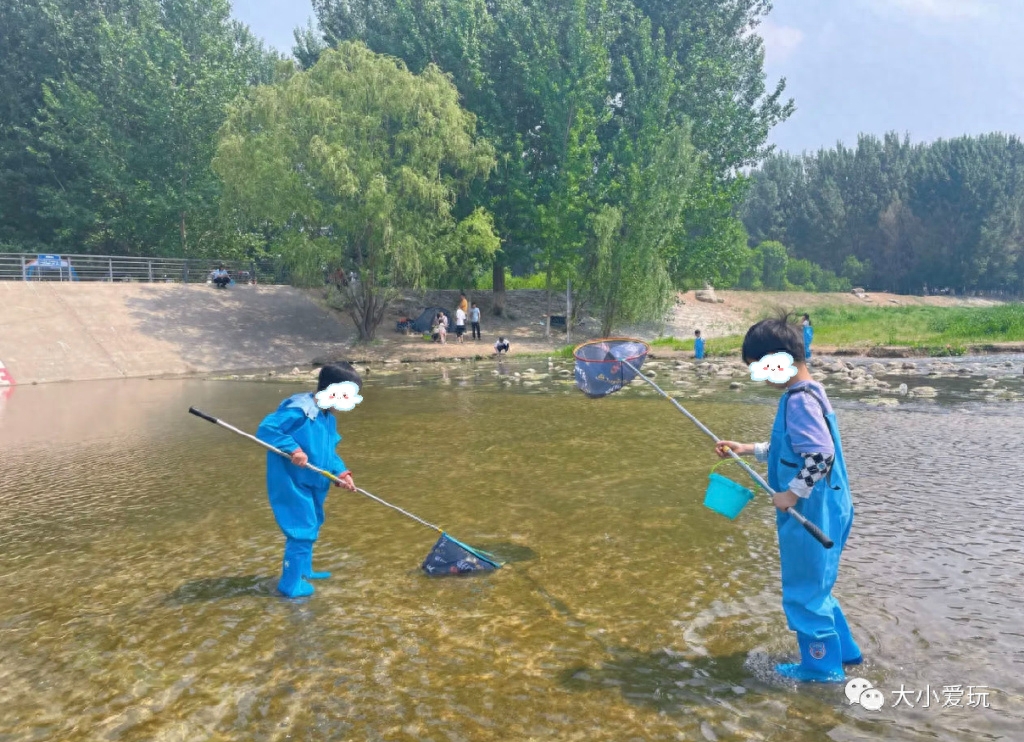 蝌蚪视频在线播放视频免费观看蝌蚪视频，在线播放视频的乐趣与探索-第1张图片