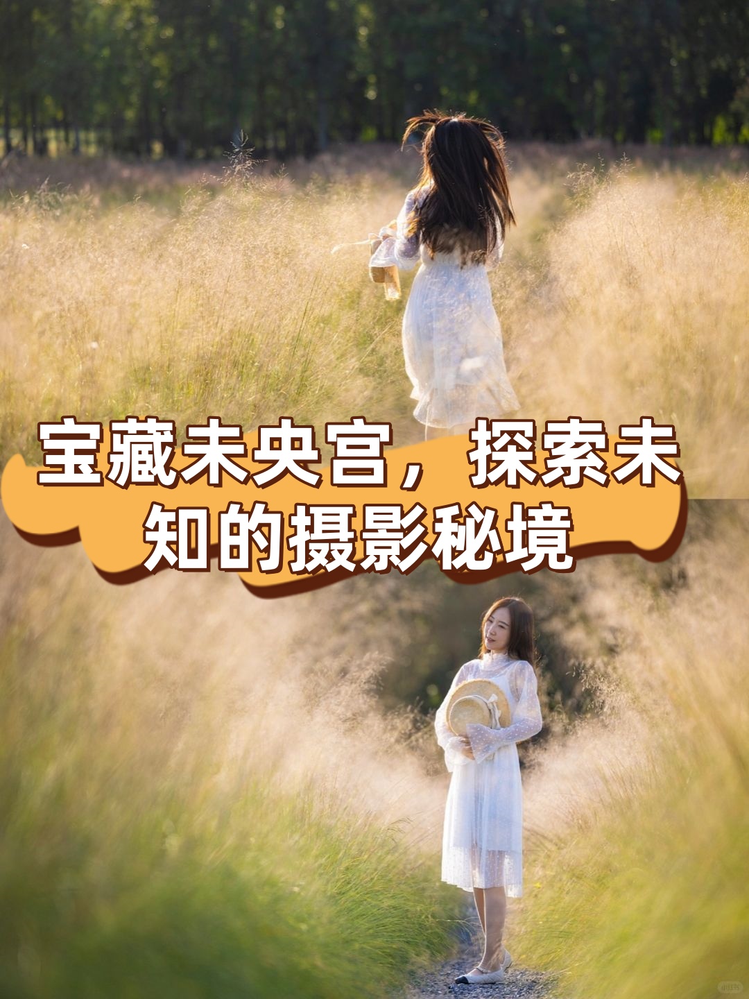 在线www天堂资源下载网站在线WWW天堂资源下载的探索与体验-第2张图片