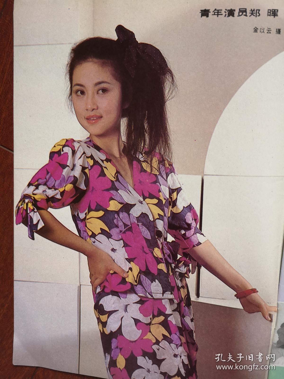 张丽evelynlin主演的电影张丽与Evelyn Lin，两位杰出女性的故事-第1张图片