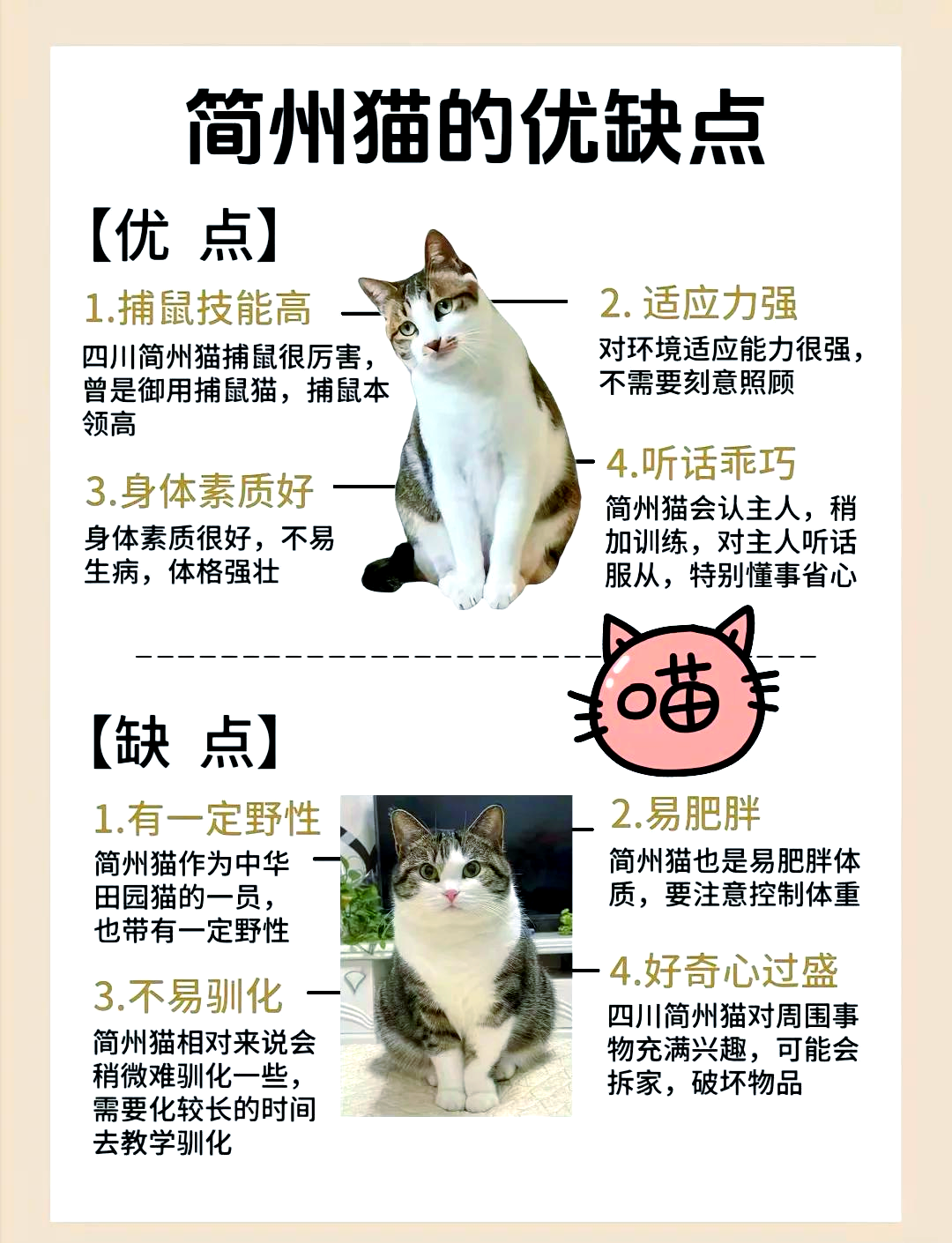 bgmbgmbgm毛多多视频1探索bgmbgmbgm与毛多多视频的魅力-第2张图片