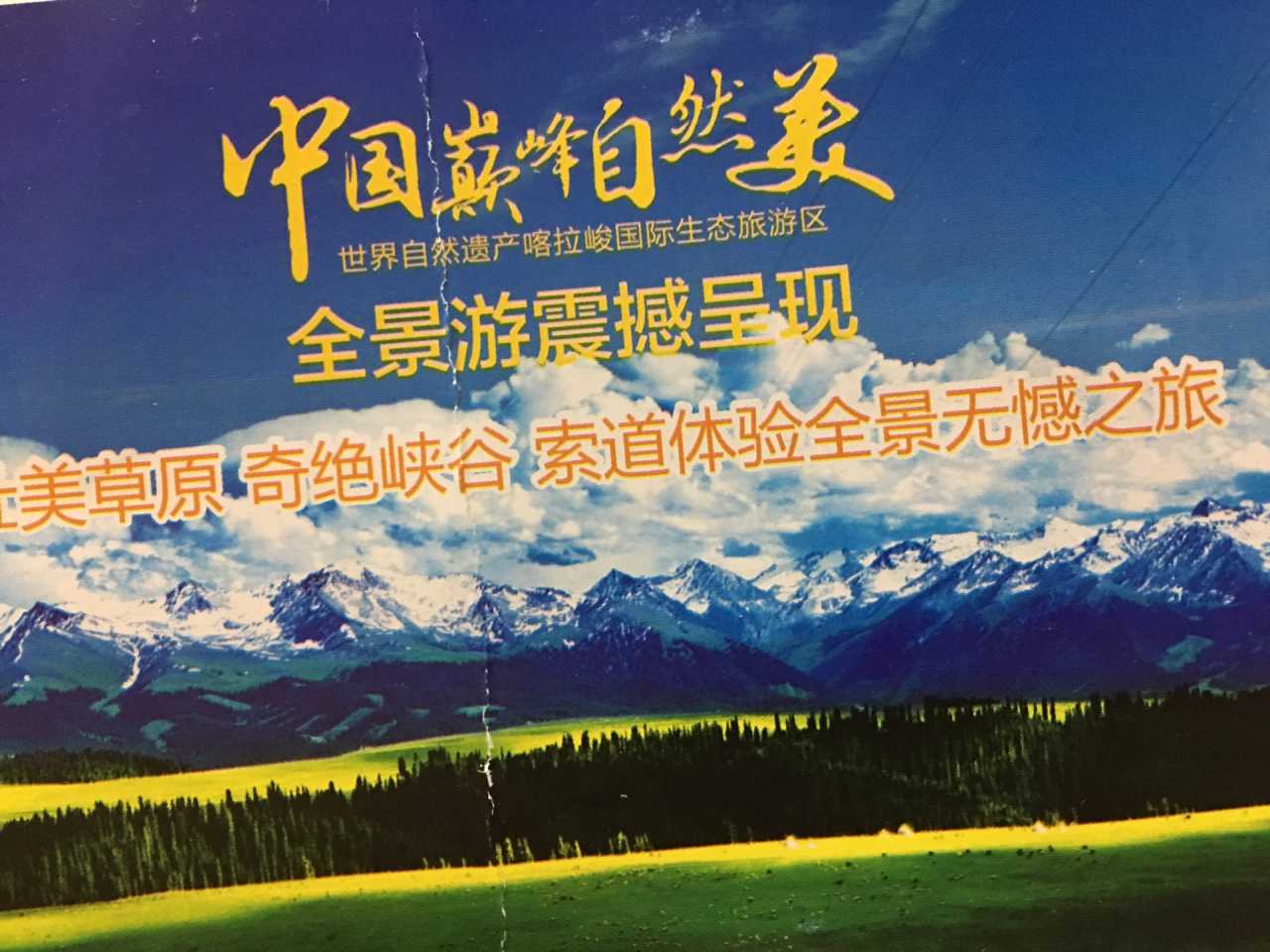 灰熊丘陵灰熊丘陵，自然之魅与生态之旅-第3张图片
