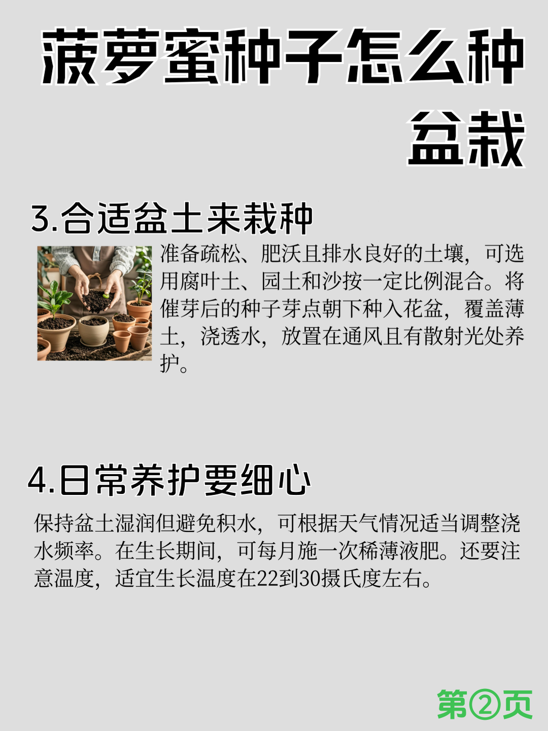 免费观看菠萝蜜视频，探索无限乐趣的便捷途径-第2张图片