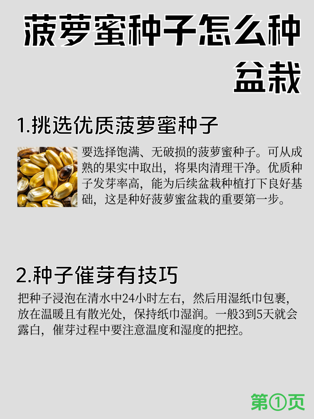 免费观看菠萝蜜视频，探索无限乐趣的便捷途径-第1张图片