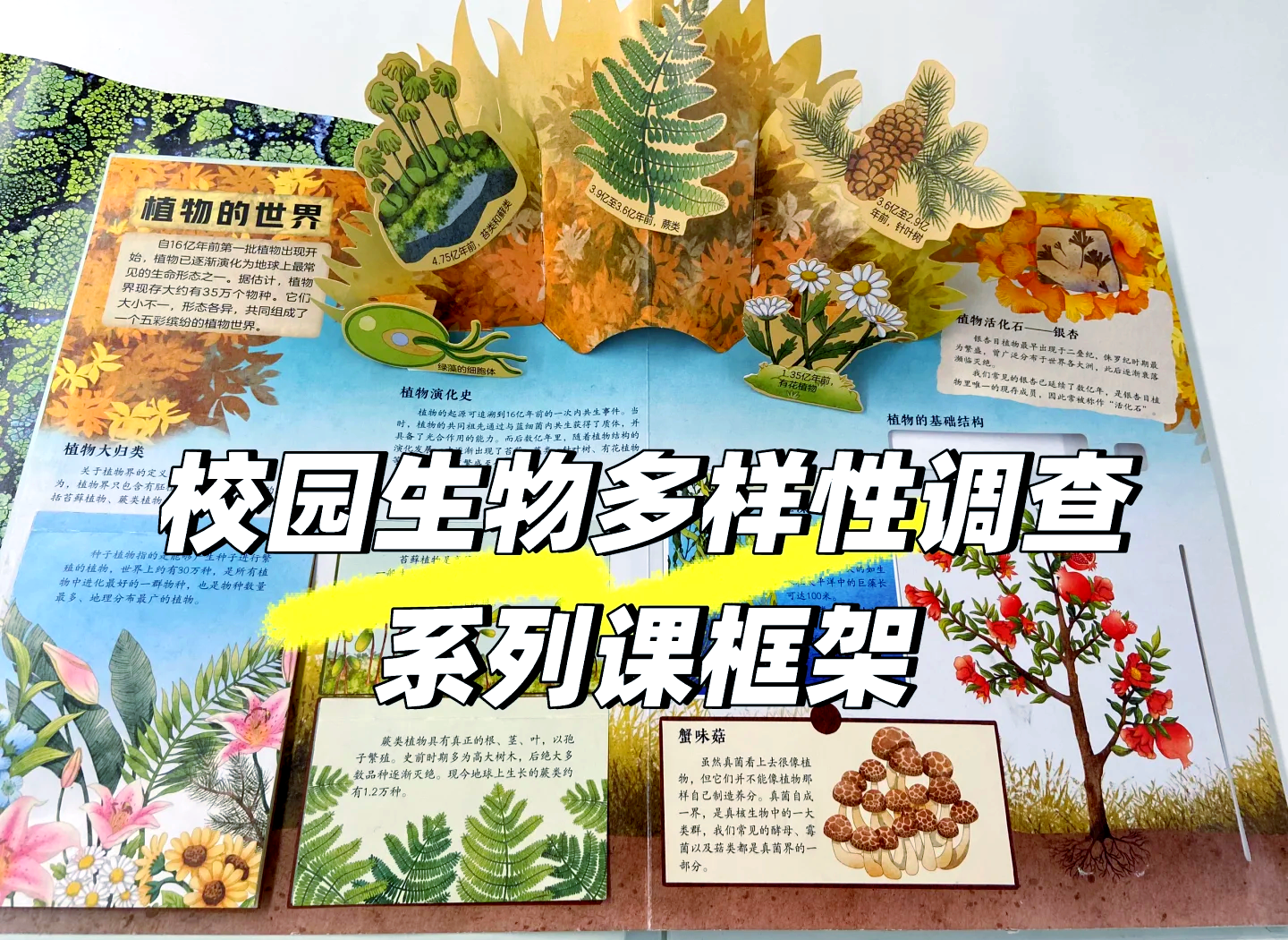 含羞草实验所入口免费进入欢迎您仙踪林含羞草实验所，免费开放，探索自然的奇妙之旅-第2张图片