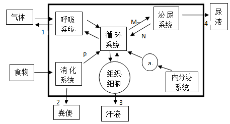 关于C点和G的生理部位解析-第2张图片