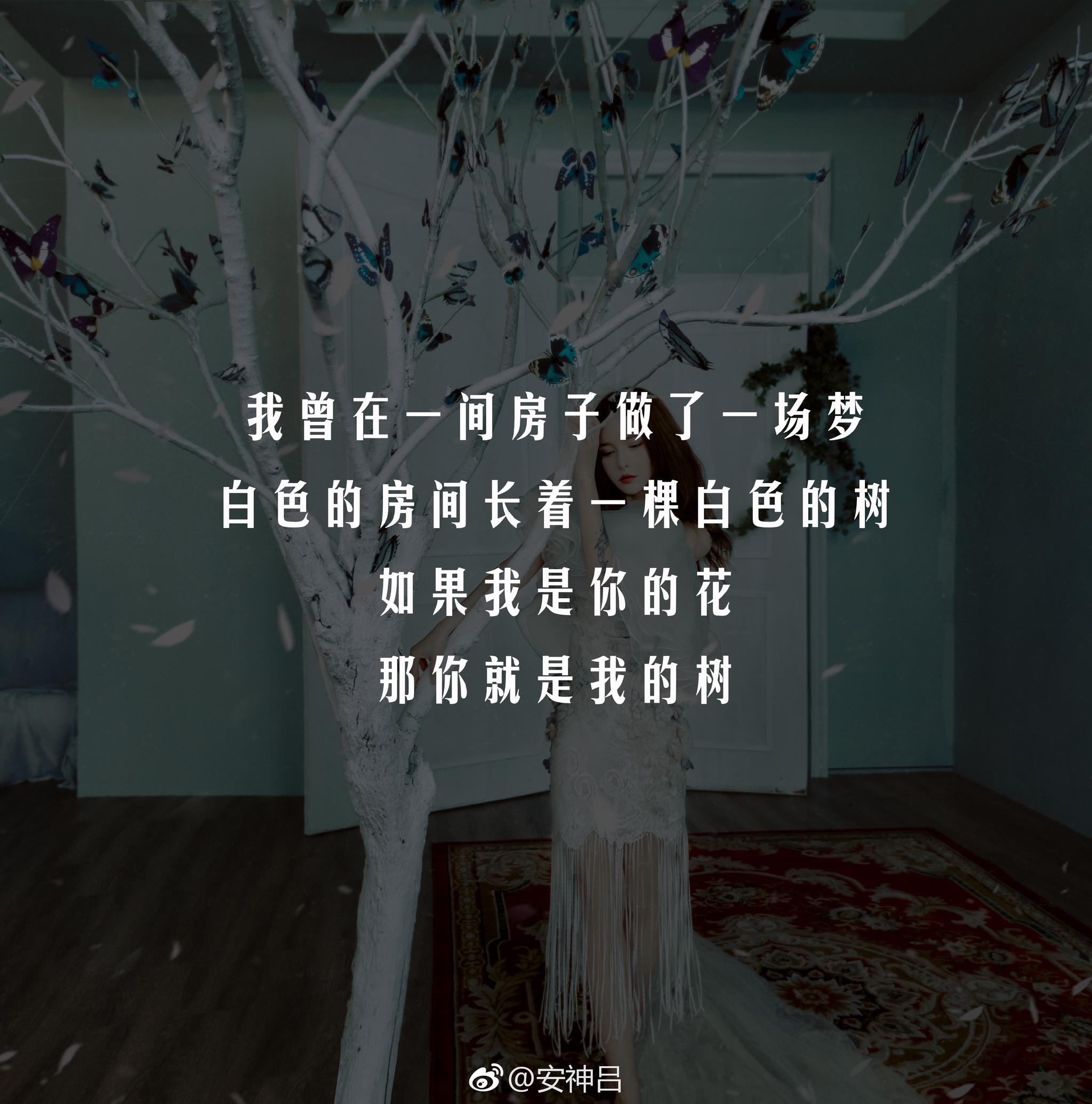 深夜的探索，晚上睡不着就偷偷看B站-第1张图片