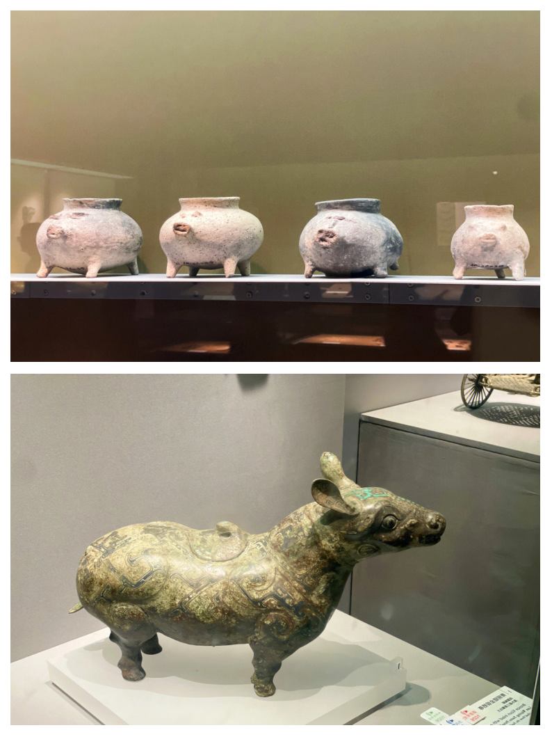 萌兽世界萌兽世界，探索与冒险的奇幻之旅-第1张图片