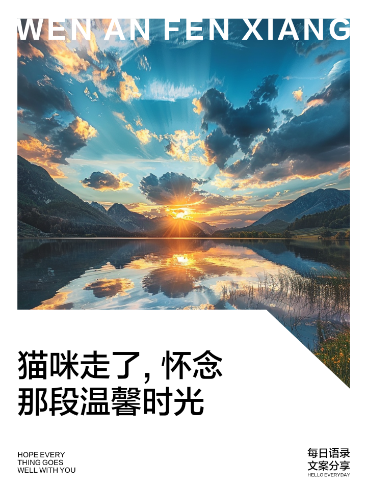 猫咪的异国足迹，探索国外永久地域的猫咪网名-第1张图片