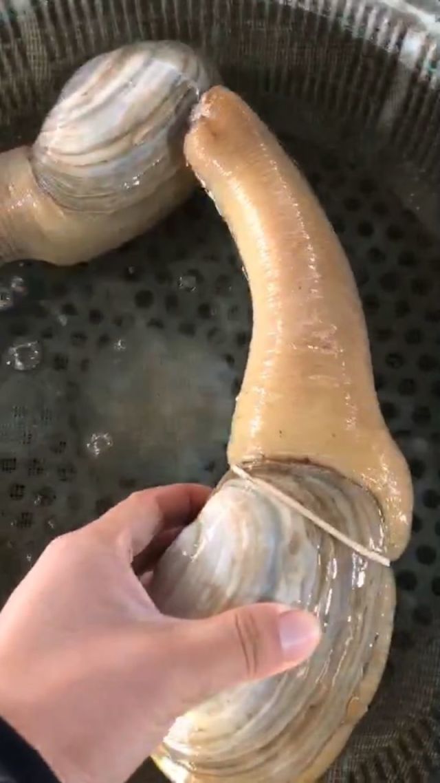 又大又硬又粗做大爽A片探索成人影片中的视觉刺激——以又大又硬又粗做大爽为关键词的探讨-第1张图片